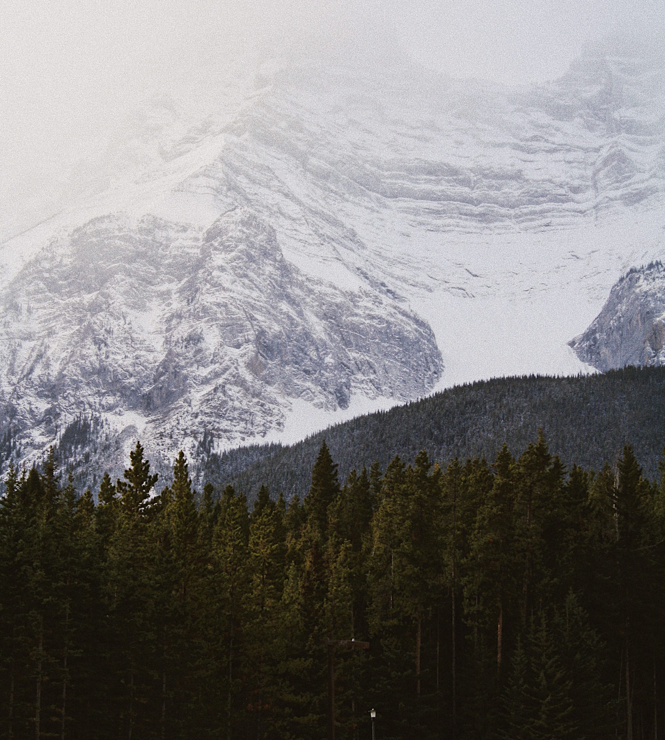 Processed with VSCO with m4 preset